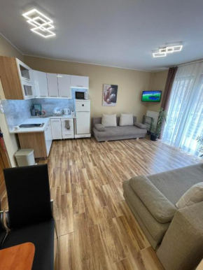 Ildikó Wellnes Apartman